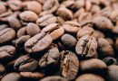 Arabica czy Robusta