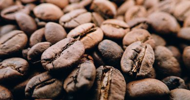 Arabica czy Robusta