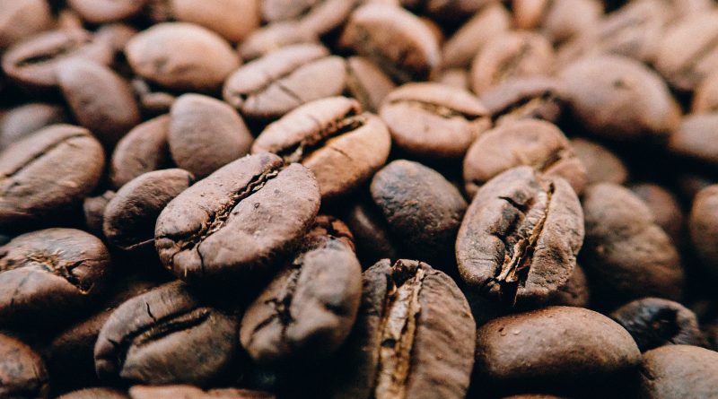 Arabica czy Robusta